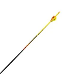 Black Eagle Renegade Half Dozen Fletched Arrows