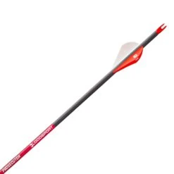 Bloodsport Prosecutor Half Dozen Fletched Arrows